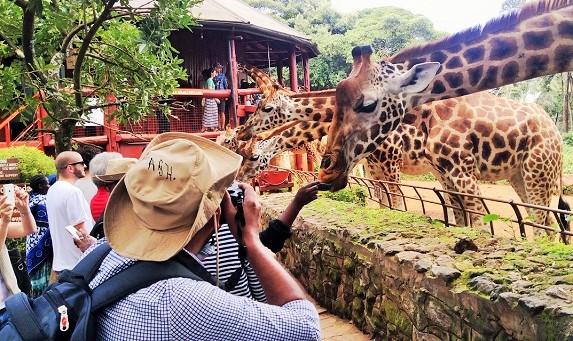 Giraffe Center Nairobi (2)