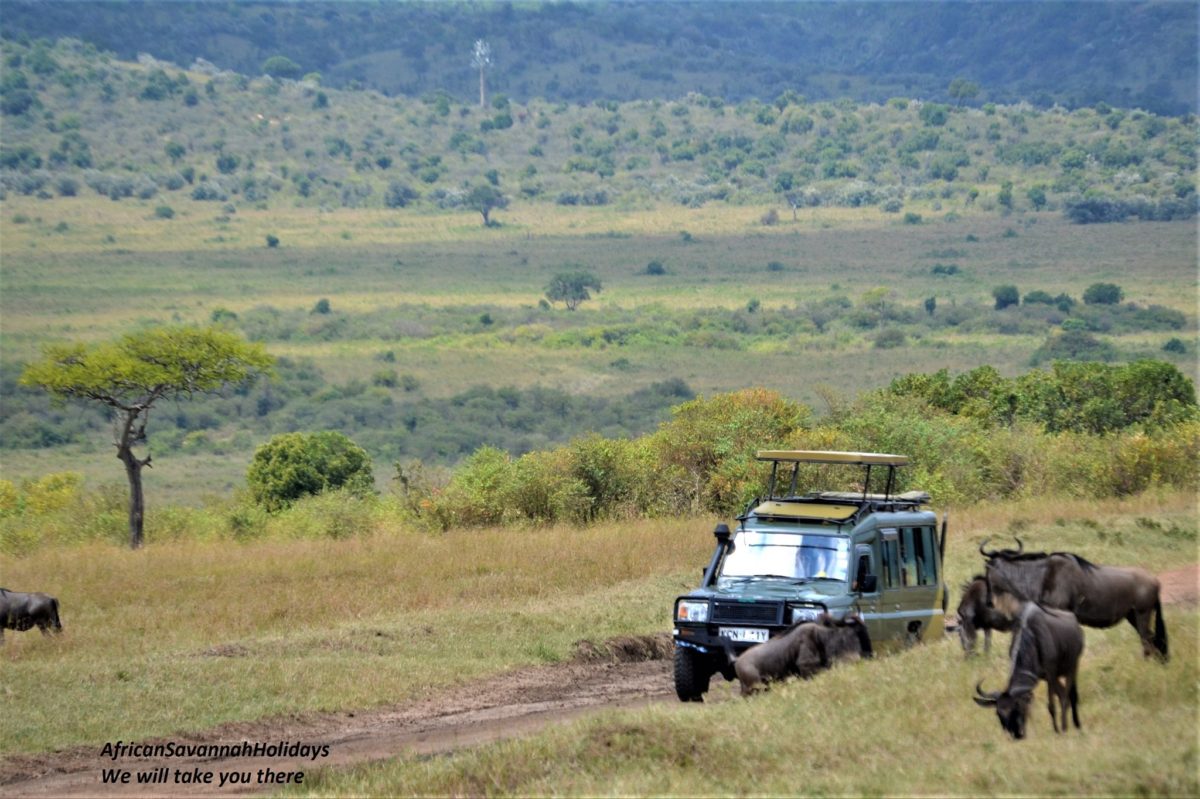 Gallery | African Savannah Holidays