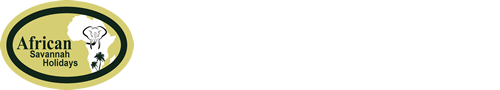 African Savannah Holidays