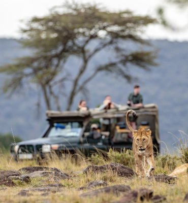 Northern Tanzania Highlights Safari