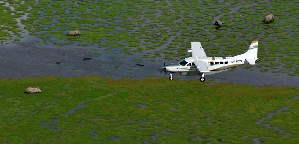 Amboseli-flying-safari