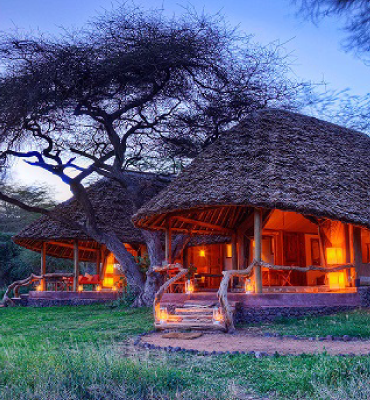 Discover-East-Africa-Savannah-Safari