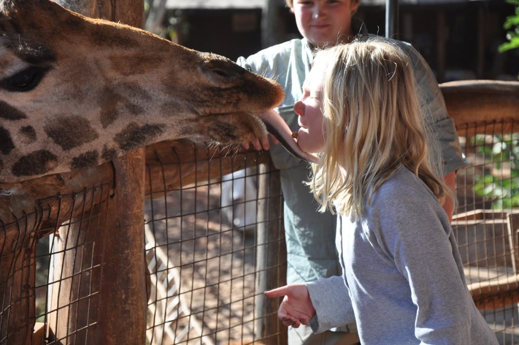 Giraffe Centre - Kenya Classic Savannah Safari