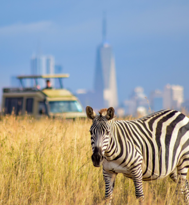 Nairobi National Park