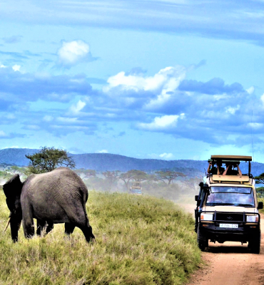 Tanzania-Classic-Savannah