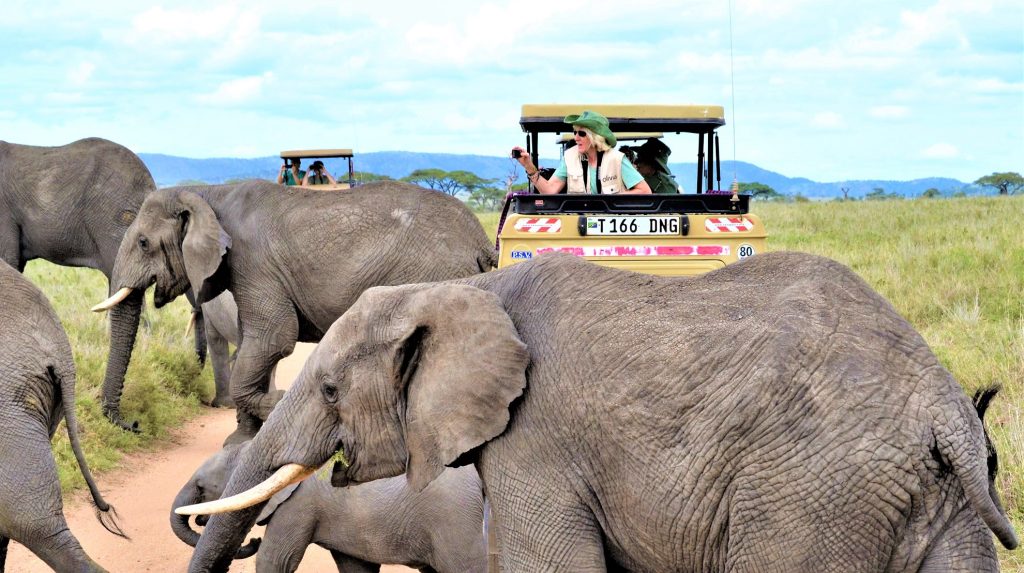 Tanzania-Deluxe-Safari