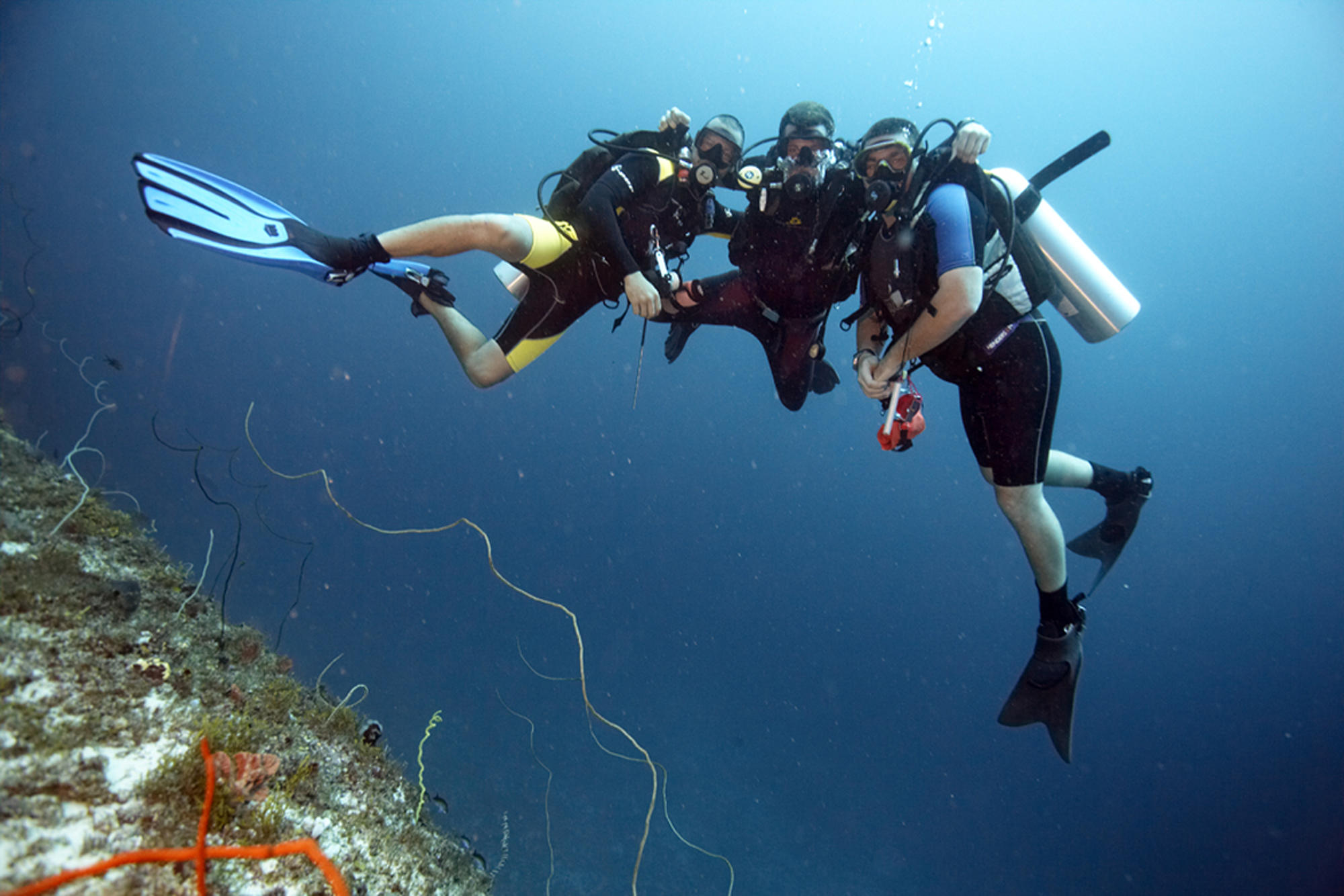 zanzibar-Divers